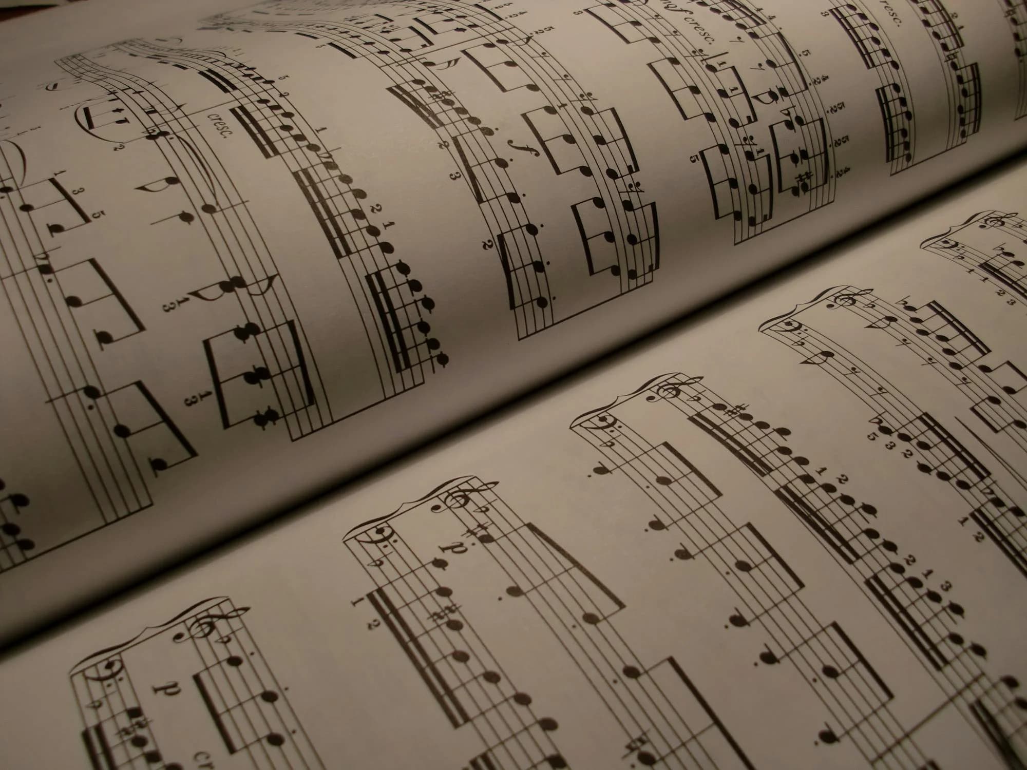 How to Harmonize a Melody: A Warm, Creative Guide for Musicians